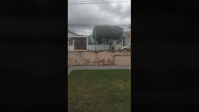 DotadoLeiteiro  15-05-2022